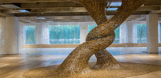 Bambu – Histórias de um Japão