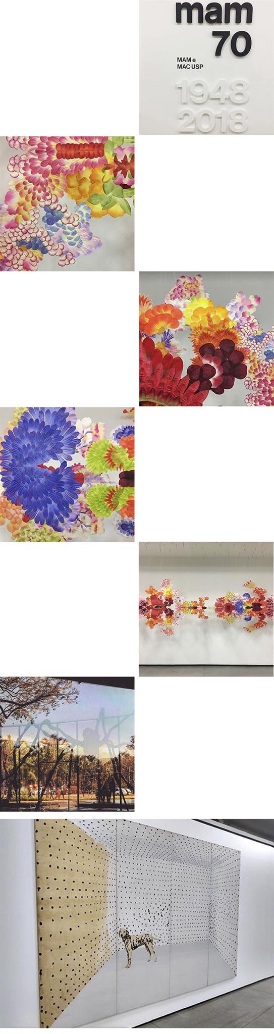 MAM 70 (Divulgação)