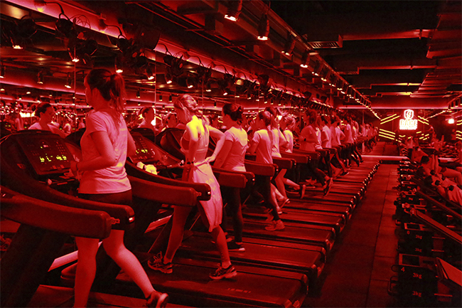 Outubro Rosa Gallerist